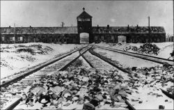 Einfahrt KZ Auschwitz (Bundesarchiv, B 285 Bild-04413 / Stanislaw Mucha / CC-BY-SA 3.0)